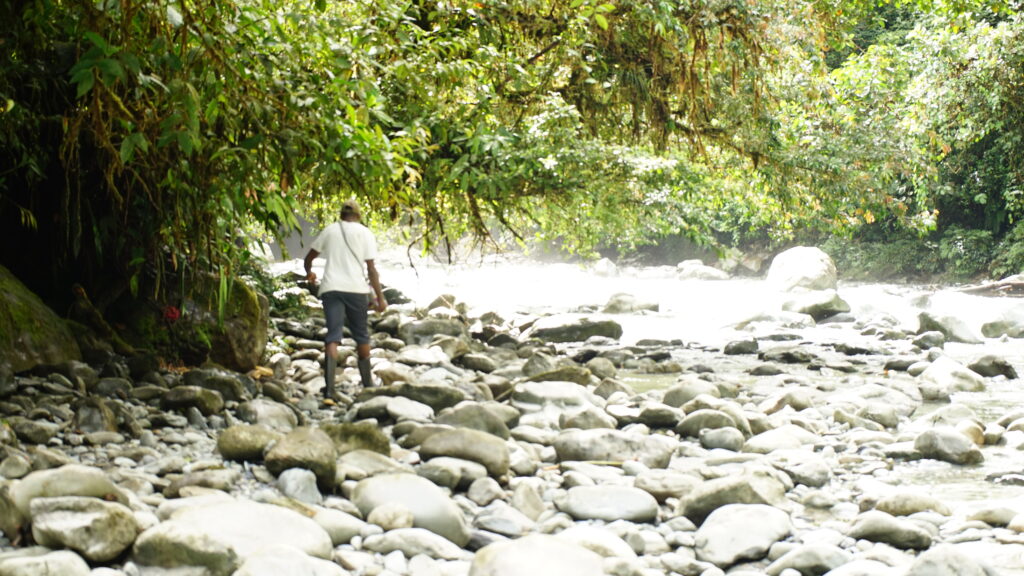 Medicina tradicional: cuando el monte también cura dsc08946