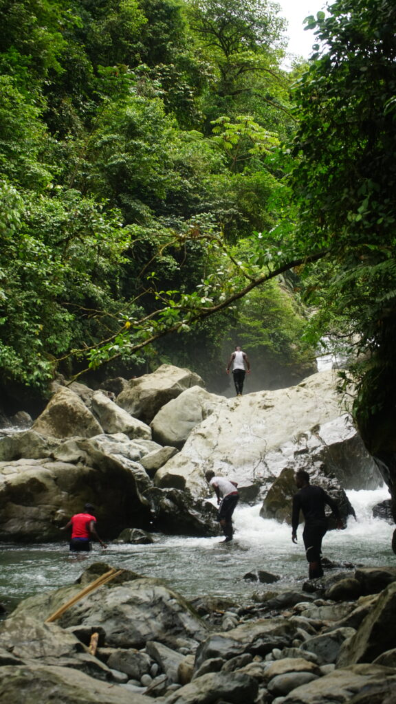 La gallada: fuerza, travesuras y memoria dsc09062